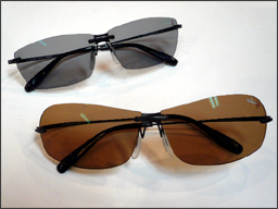 sunglass